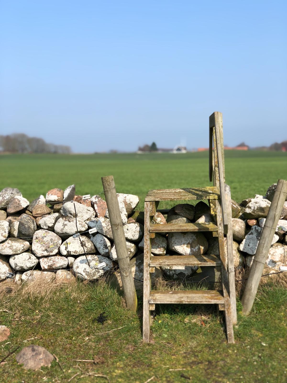 A wooden stile over a dry-stone wall, opening into wide green fields — a quiet invitation to step into whatever comes next